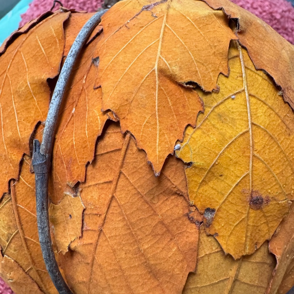 Rustic Orange & Red Leaf Pumpkins set - Picture 4 of 5